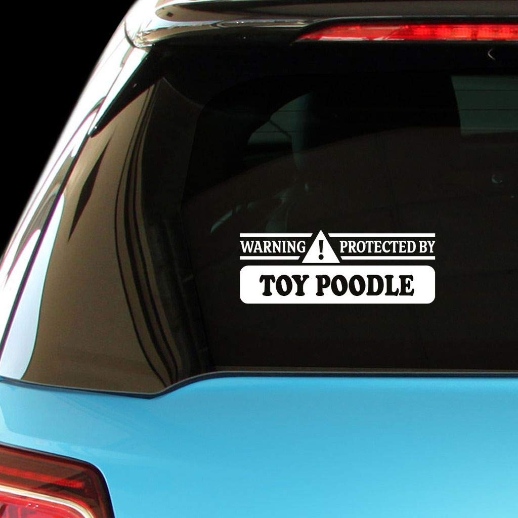 Funny Toy Poodle Car & Laptop Decal Sticker - Cute Protective Vinyl Decoration for Vehicles, Computers, Walls | Perfect for Dog Lovers & Pet Owners