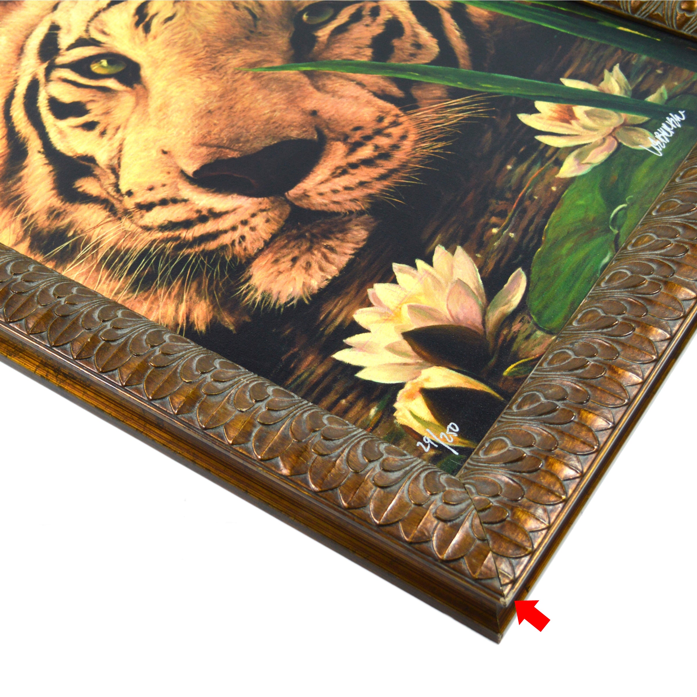 Original Signed Lazy Bengal Tiger Giclee Print on Canvas #29/250 by Weber - Perfect for Home Decor, Office Art & Wildlife Enthusiasts