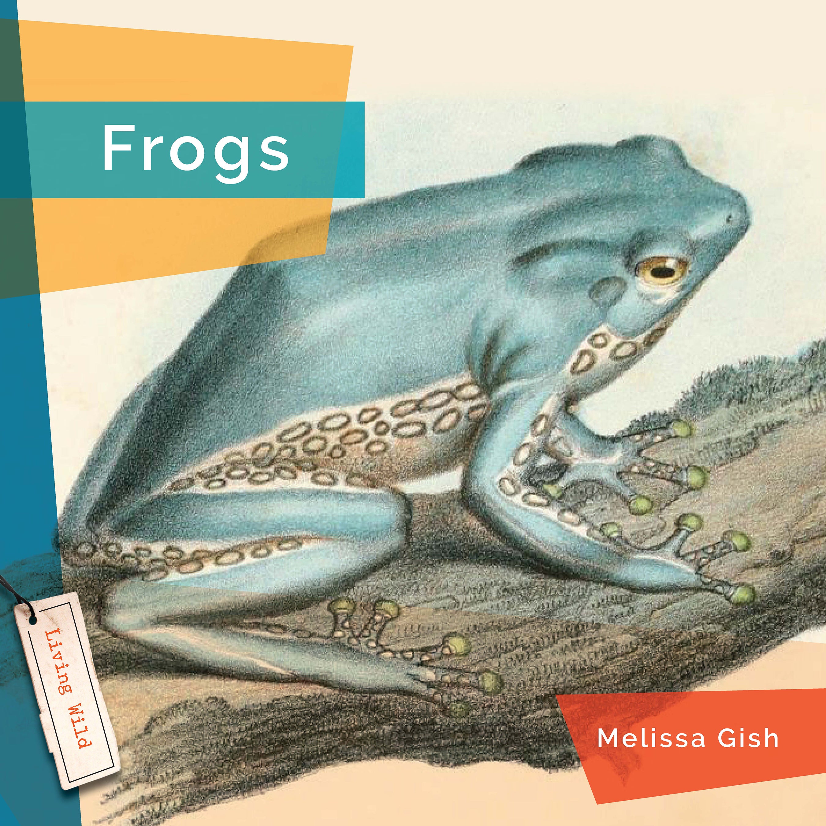 Frogs - 9781640267831 | Educational Book About Frogs for Kids & Adults | Perfect for Nature Lovers, Classroom Learning & Homeschooling