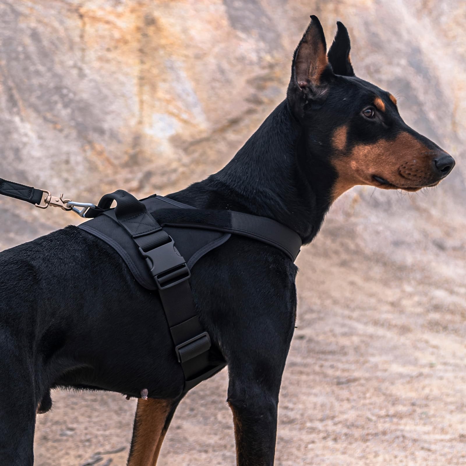 EXCELLENT ELITE SPANKER Tactical Dog Harness - Military Patrol No-Pull Service Vest for Medium & Large Dogs - Adjustable Training Working Vest with Handle (Grey, XL) - Perfect for Police K9, Search & Rescue, and Outdoor Adventures