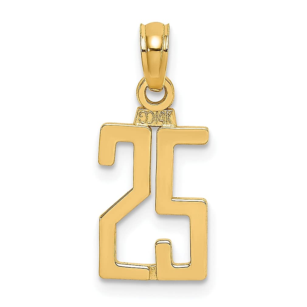 10K Yellow Gold Number 25 Pendant Charm Necklace - Elegant Fine Jewelry for Women | Perfect Birthday, Anniversary & Graduation Gift for Her | Ideal for Everyday Wear & Special Occasions