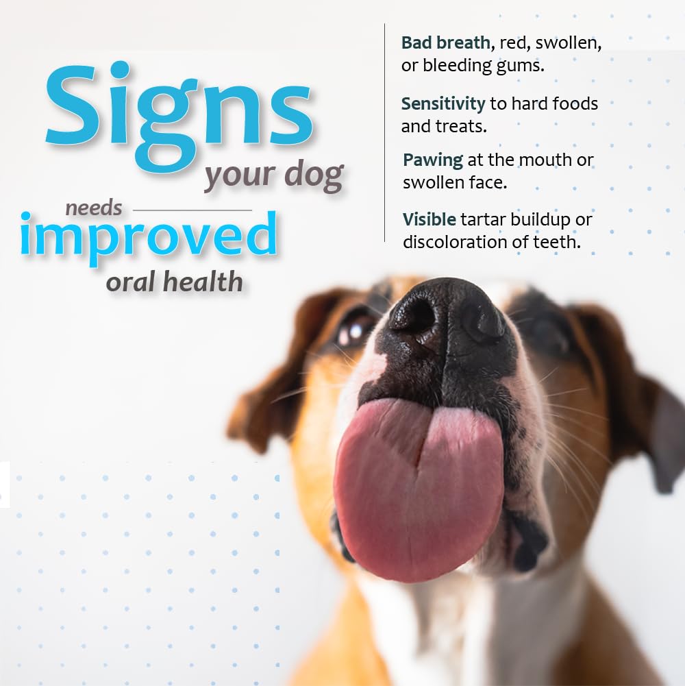 Enzymatic Dental Chews for Medium Dogs - Daily Oral Care Treats to Clean Teeth, Freshen Breath & Reduce Plaque, Tartar & Bacteria - No Brushing Needed (30 Count) - Perfect for At-Home Dog Dental Care Between Vet Visits