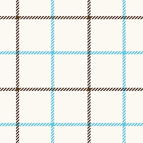 Thin Checks on White