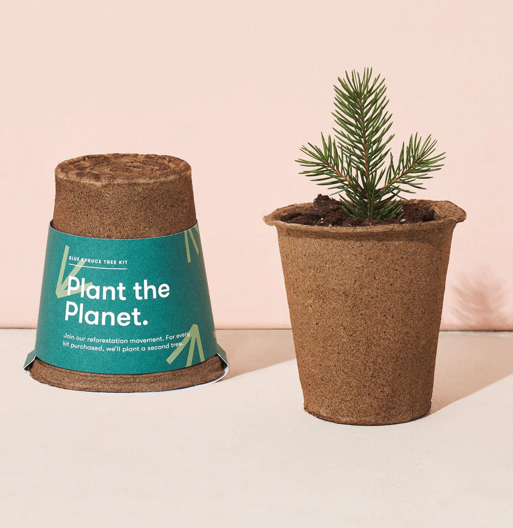 Tree Kit - Complete Tree Planting & Care Set for Home Garden, Backyard & Landscaping | Perfect for DIY Arborists & Nature Lovers