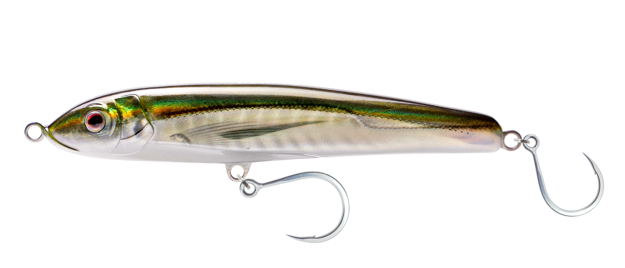 Olive Back Shad
