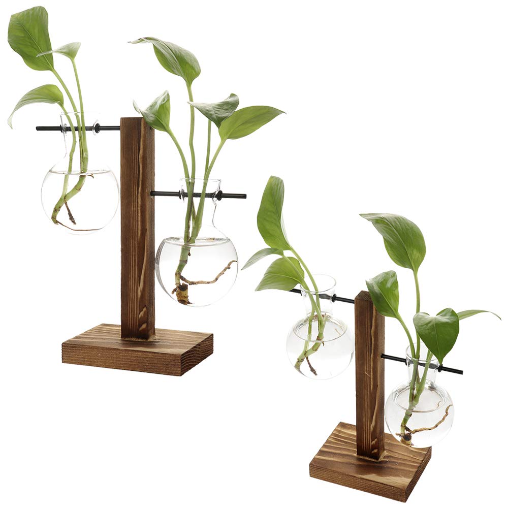 Retro Glass Terrarium Planter with Solid Wood Stand - Hydroponic Bulb Vase for Succulents, Air Plants | Perfect for Home, Office, Wedding & Garden Decor