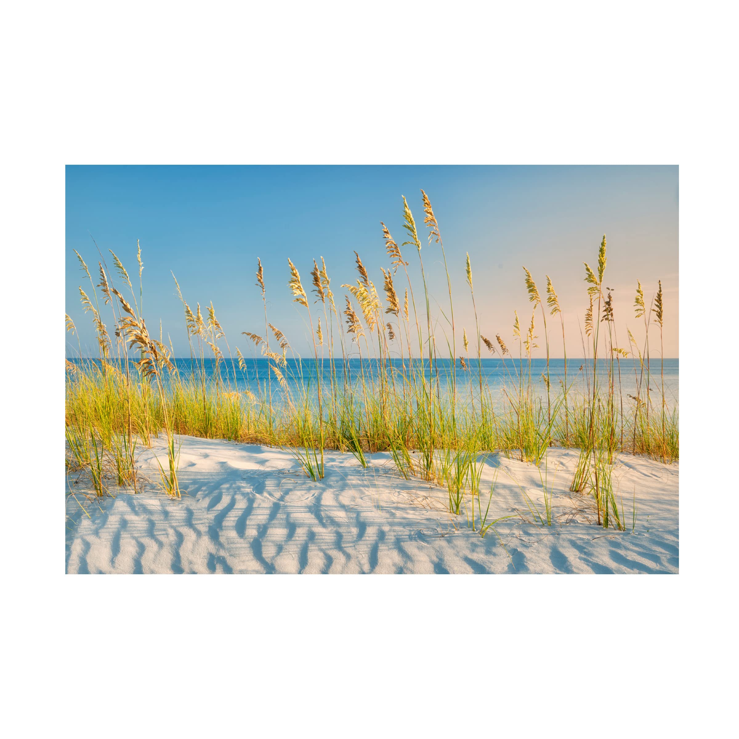 Dennis Frates 'Sea Oat Grass 2' Canvas Wall Art Print - Coastal Beach Decor for Living Room, Bedroom & Office