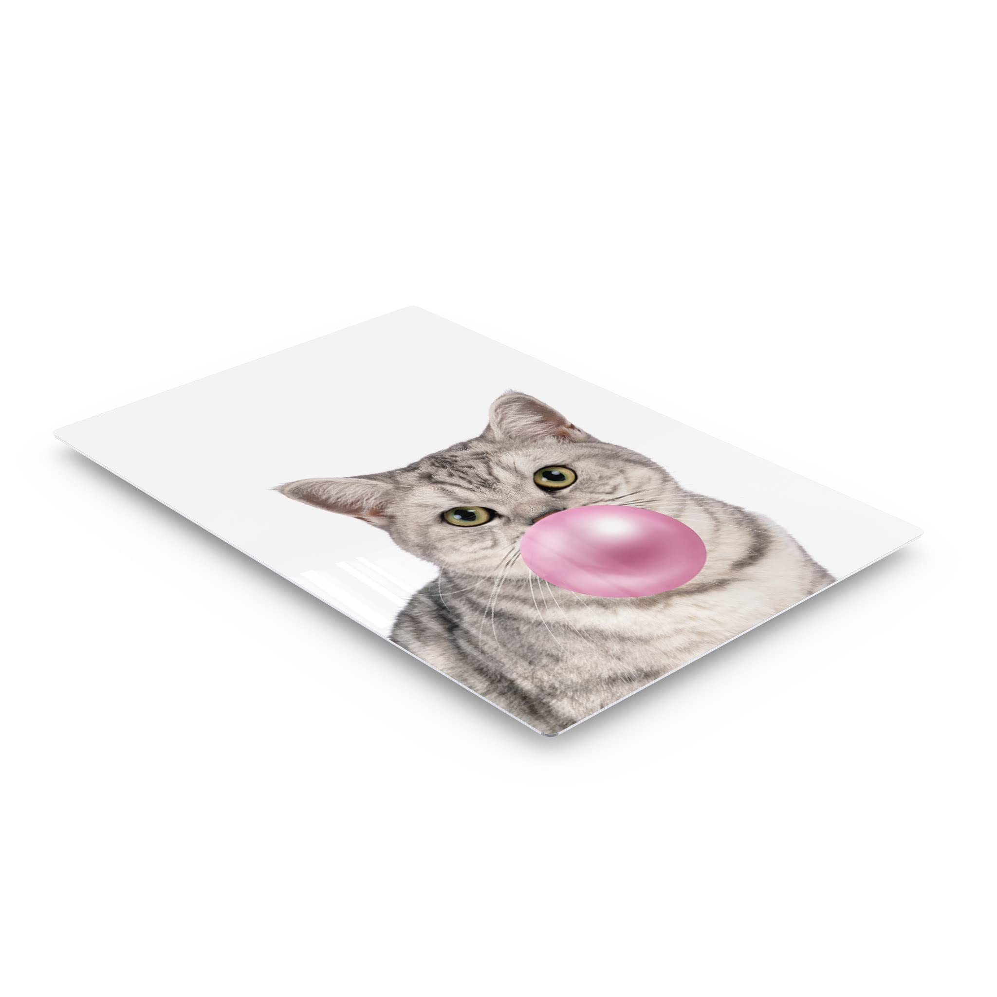 Brazilian Shorthair Cat Chewing Bubble Gum Metal Wall Art - 40x30 Inch Pet Lover Gift for Office, Living Room, Bedroom & Nursery Decor | Unique Animal Portrait Print for Cat Enthusiasts