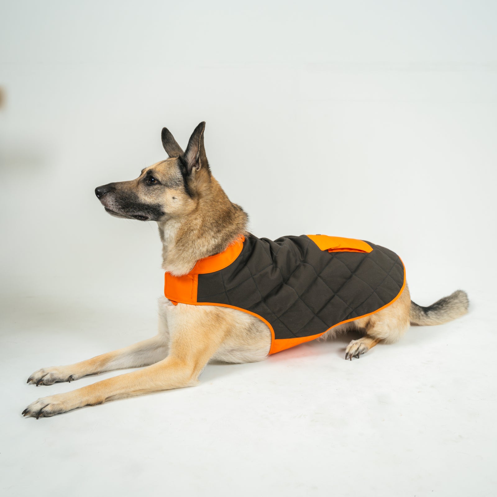 Highland Dog Vest for Small & Large Breeds - Warm & Stylish Winter Coat for Dogs - Perfect for Outdoor Walks, Hiking & Cold Weather Adventures