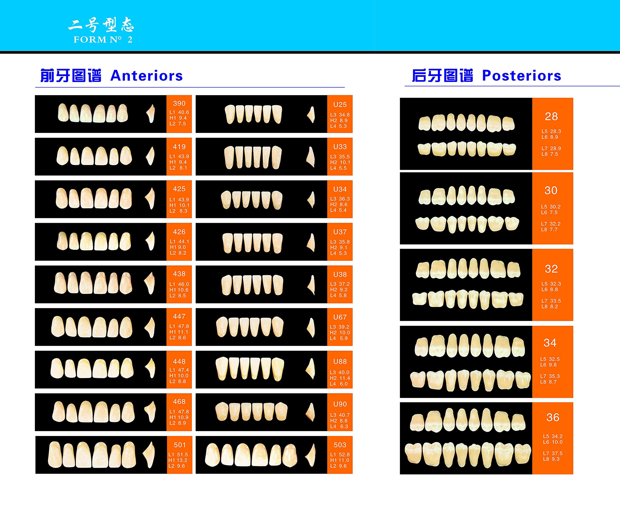 SDent® 2 Boxes Super Strong 3-Layer Acrylic False Teeth - A3.5 Shade Full Denture Set (56PCS, 2 Mouths/Box) - Durable Polymer Material for Dental Restoration & Cosmetic Enhancement - Perfect for Dentists, Dental Labs and Patients Seeking Natural-Looking Replacements