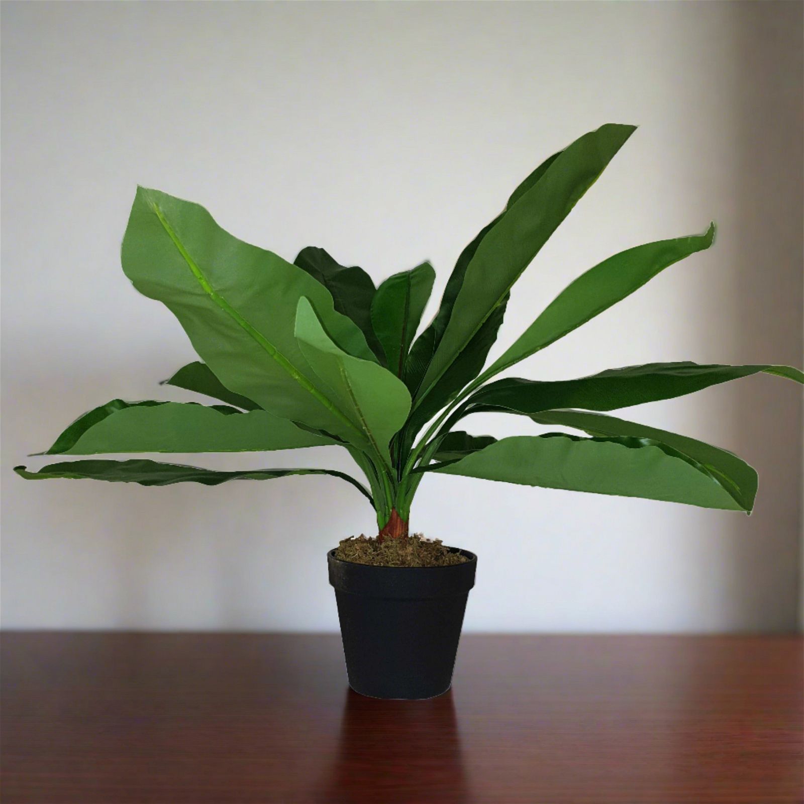 43cm Broad Leaf Artificial Plant by Criterion - Perfect for Home Office Decor, Living Room Greenery & Indoor Plant Styling
