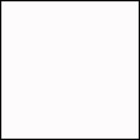 3 Pack - White