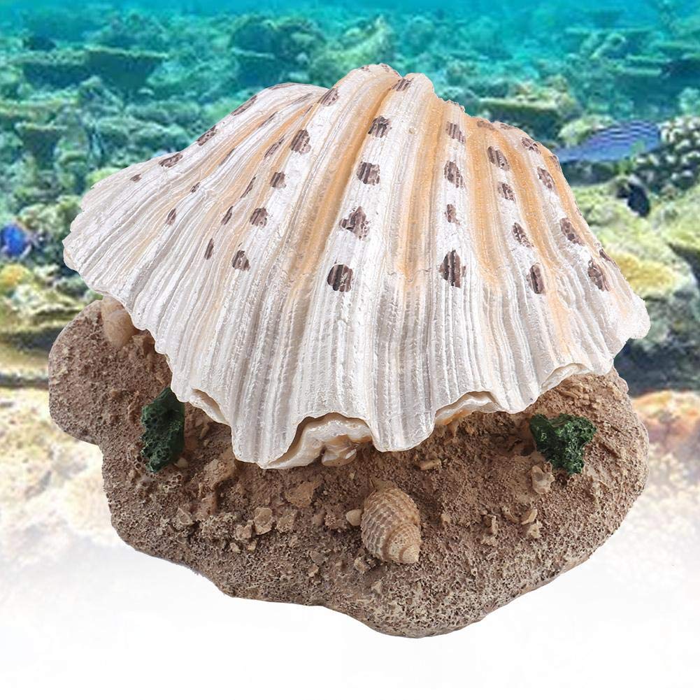 Natural Aquarium Shell Bubble Decor - Coral Reef Ornament for Fish Tank with Aerating Action | Perfect for Saltwater & Freshwater Tanks, Betta Fish Habitat, and Underwater Theme Decorations