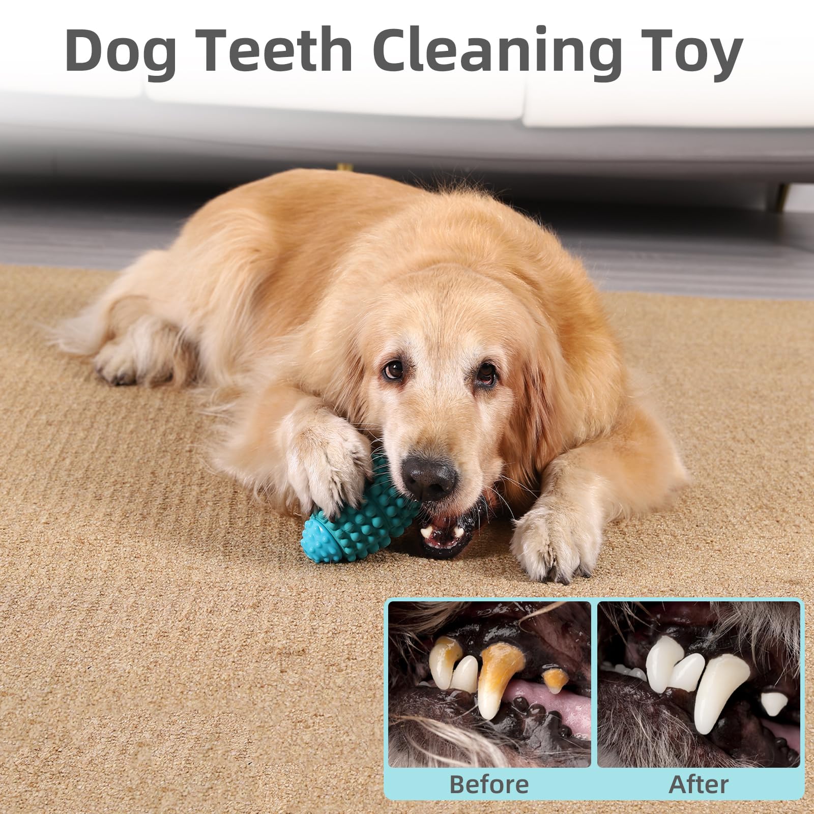 WinTour Durable Dog Chew Toys for Aggressive Chewers - Indestructible Large Breed Dog Toys, Tough Chew Balls & Squeaky Toys for Powerful Jaws - Perfect for Playtime, Training & Anxiety Relief for Big Dogs