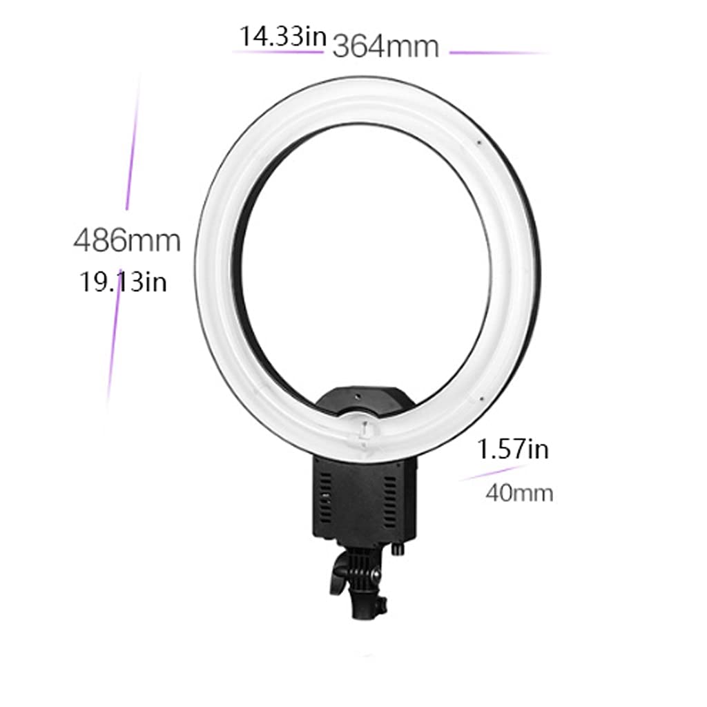ROYAUX LED Ring Light with Phone Holder - 5400K Daylight Selfie Light for Photography, Makeup, Vlogging & Live Streaming - Compatible with Smartphones - Perfect for YouTube Videos, TikTok Content & Beauty Tutorials