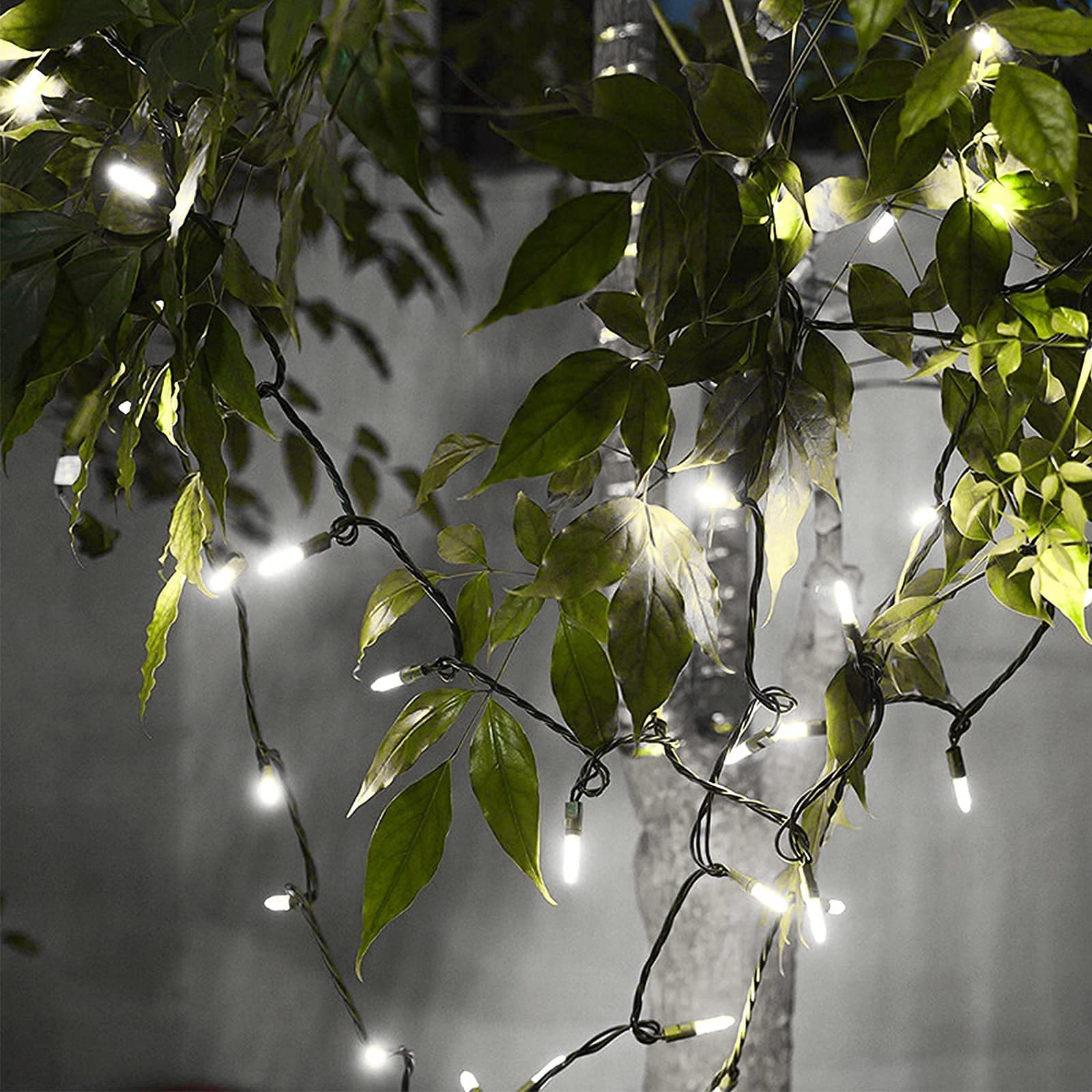 150 LED Cool White Christmas String Lights - 50 FT Green Wire, UL Certified Connectable - Perfect for Indoor & Outdoor Holiday Decorations, Christmas Trees, Party Lights, and Home Decoration