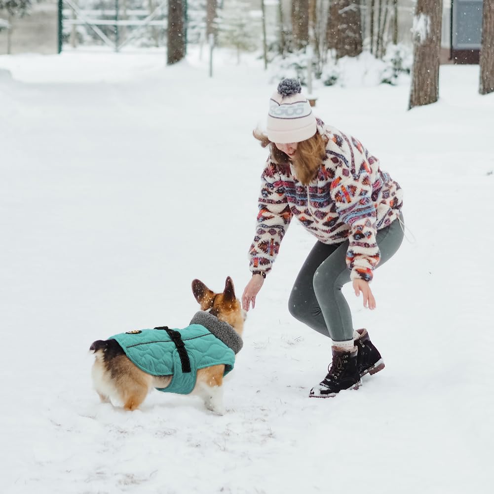 Warm Fleece Dog Winter Coat - Adjustable Dog Jacket with Nylon Buckle & Reflective Strips for Small, Medium & Large Dogs | Dark Turquoise | Perfect for Cold Weather Walks, Outdoor Adventures & Nighttime Safety