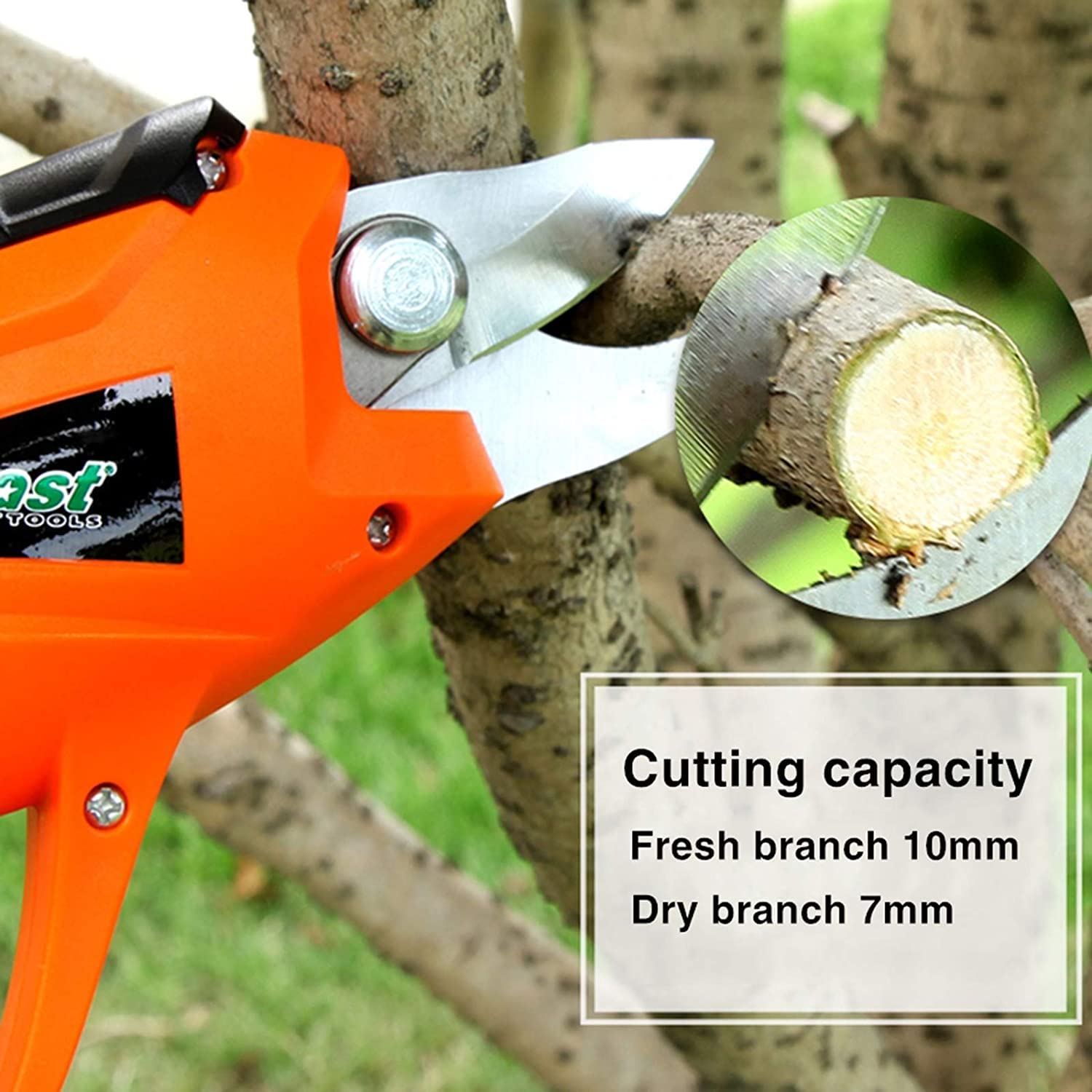 Professional Cordless Electric Garden Pruning Shears - 3.6V Lithium-Ion Battery Powered Branch Cutter for Wood Trimming | Ideal for Tree Trimming, Gardening & Landscaping