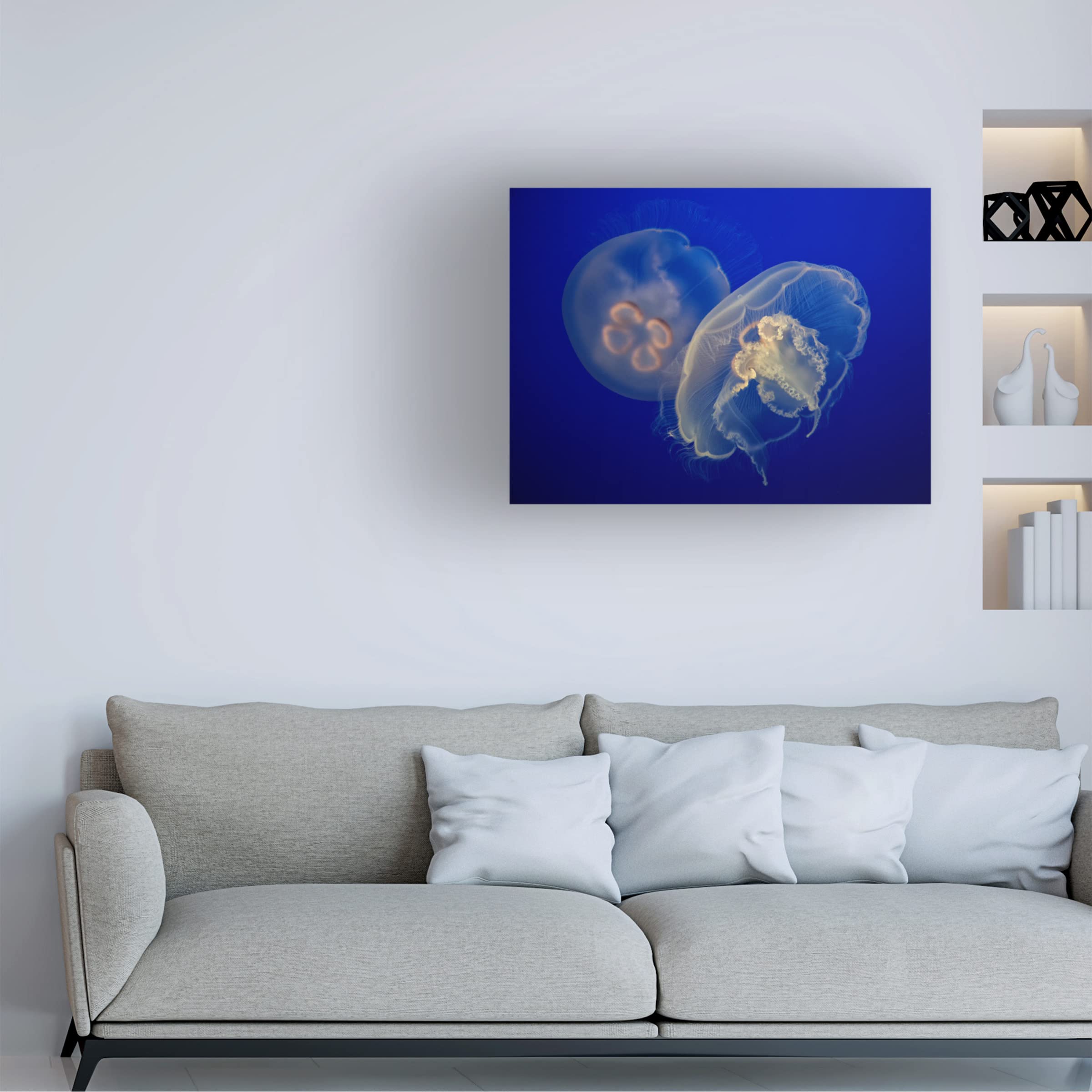 Trademark Fine Art 'Moon Jelly' Canvas Wall Art by C.S. Tjandra - Modern Ocean-Themed Home Decor for Living Room, Bedroom & Office