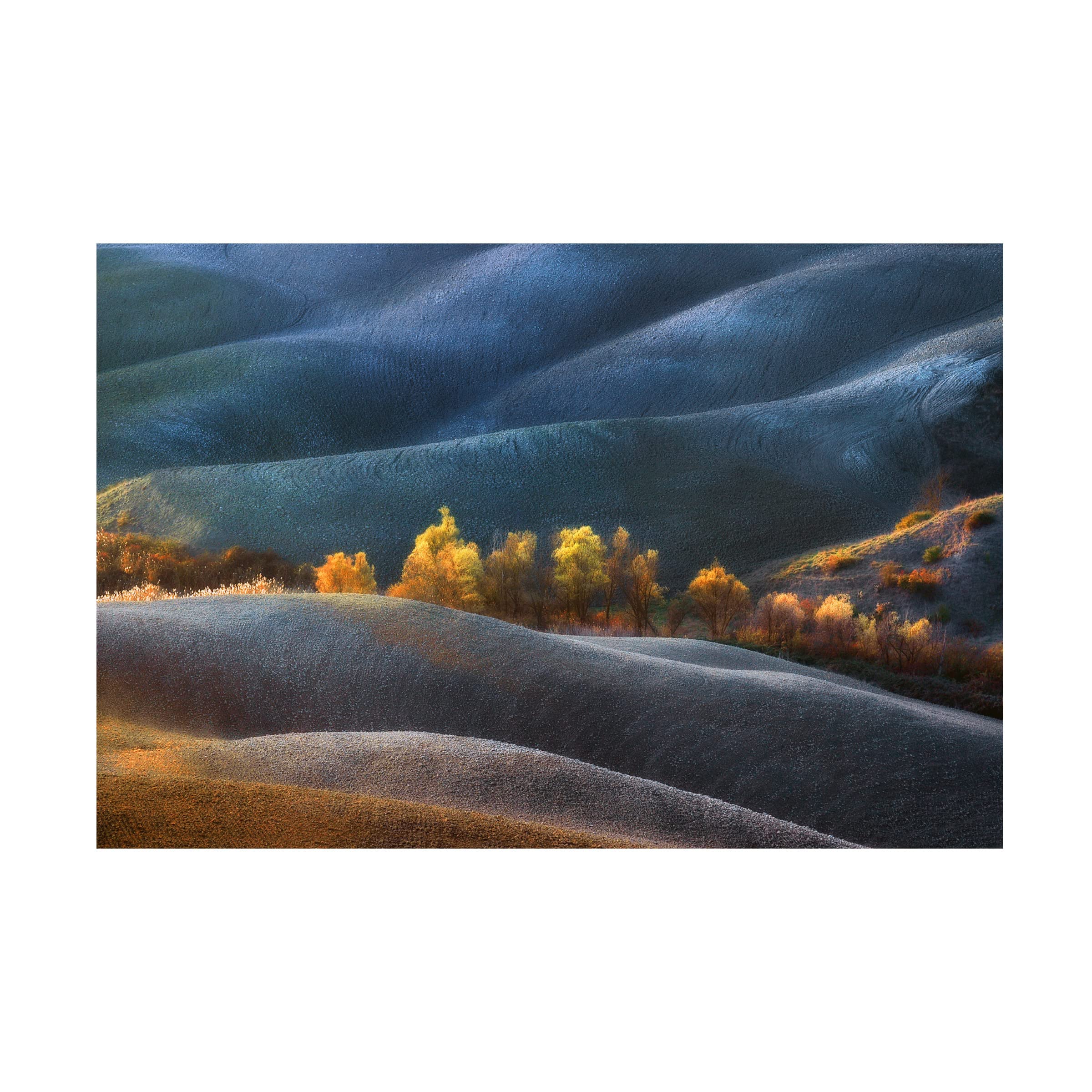 Trademark Fine Art 'Dreamland' Canvas Wall Art Print by Jure Kravanja - Modern Abstract Painting for Living Room, Bedroom & Office Decor