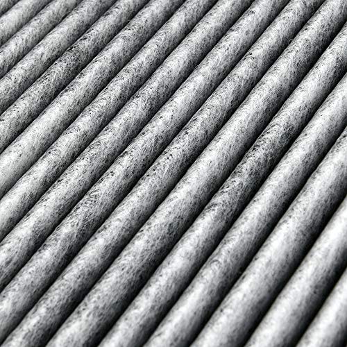 Activated Carbon (2 Pack)