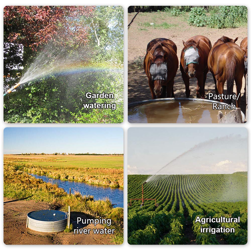 ECO-WORTHY 12V DC Submersible Deep Well Water Pump - 3.2GPM Flow Rate, 230ft Max Head, Solar/Battery Powered - Ideal for Wells, Livestock Watering, Irrigation & Tank Filling | Perfect for Off-Grid Homes, Farms & Emergency Water Supply