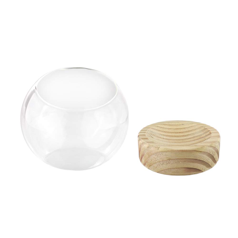 Premium Glass Dome Terrarium with Wood Base - Ideal for Air Plants, Succulents, Mini Gardens & Home Decor - Small Glass Display Case for DIY Crafts, Wedding Centerpieces & Office Desk Decor