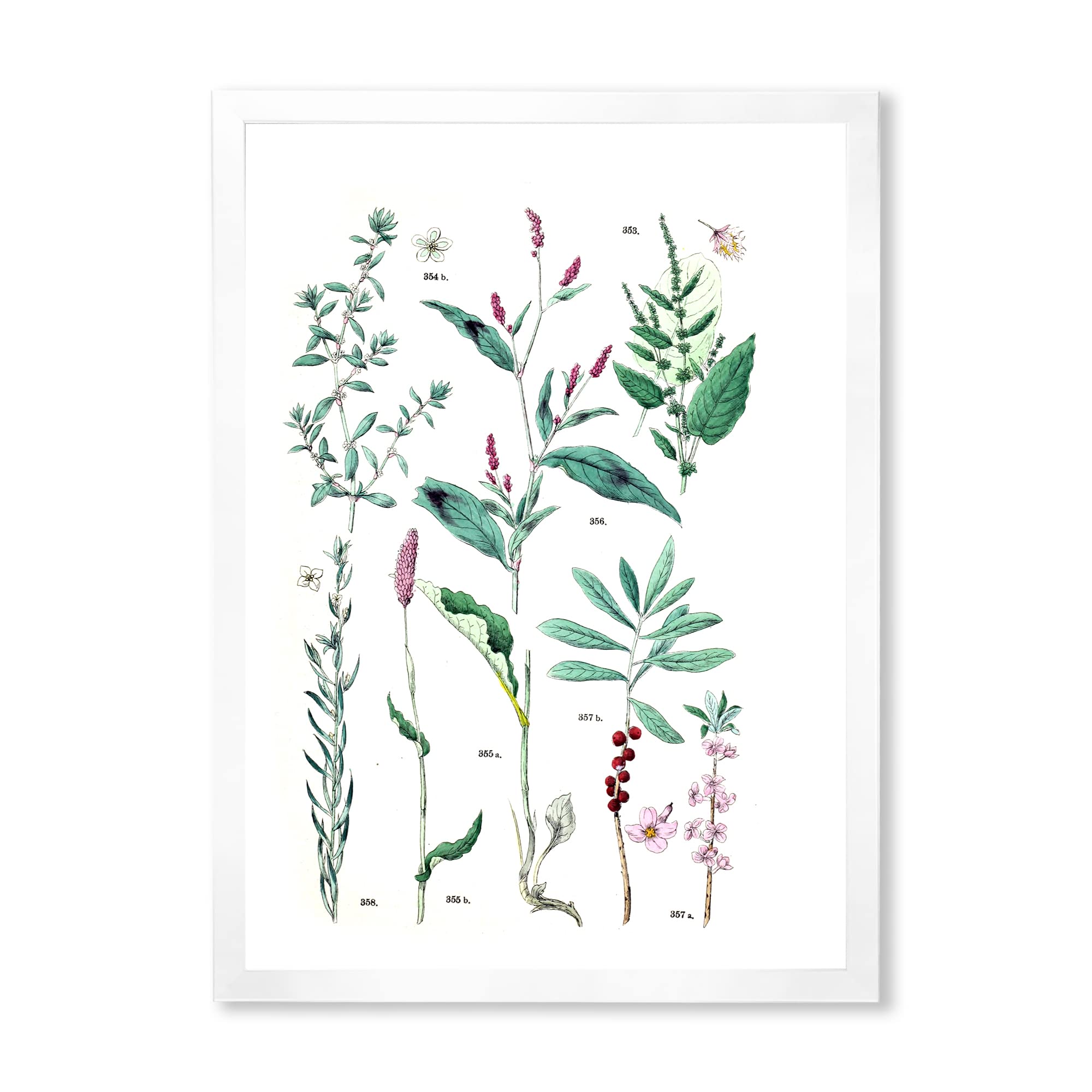 Vintage Botanical Wall Art - Traditional Framed Plant Prints for Home & Office Decor - Perfect for Living Room, Bedroom, Kitchen & Office Spaces