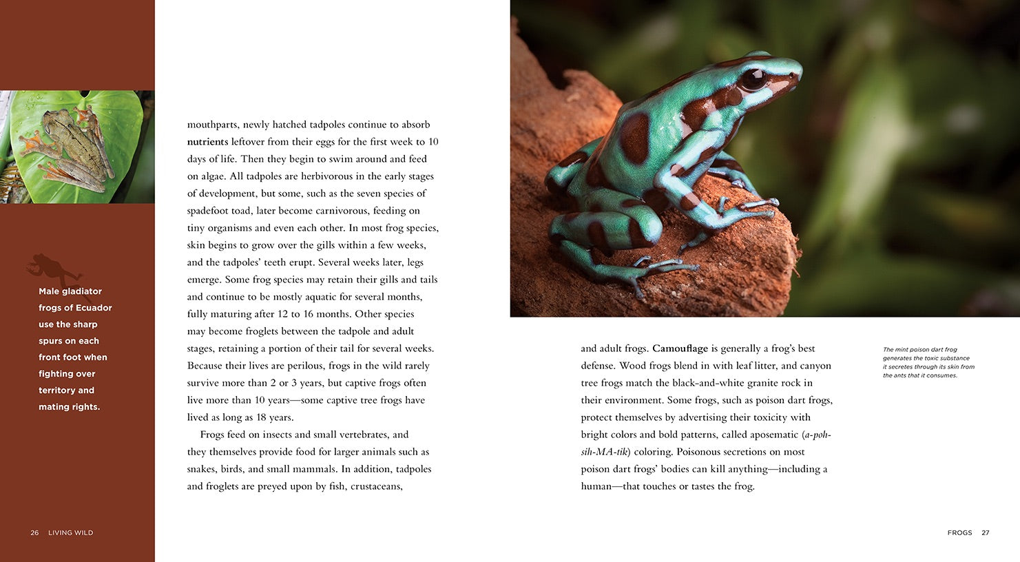 Frogs Book - ISBN 9781608182879 - Educational Wildlife Guide for Kids & Nature Enthusiasts - Perfect for Classroom Learning & Nature Exploration