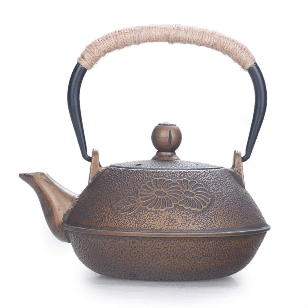 JHSHENGSHI 850ML Antique Cast Iron Teapot with Stainless Steel Infuser - Ceramic Lined Tetsubin Tea Kettle for Boiling Tea - Perfect for Home, Office & Japanese Tea Ceremonies