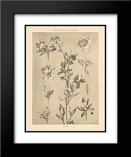 Black Modern Wood Frame with Double Matting