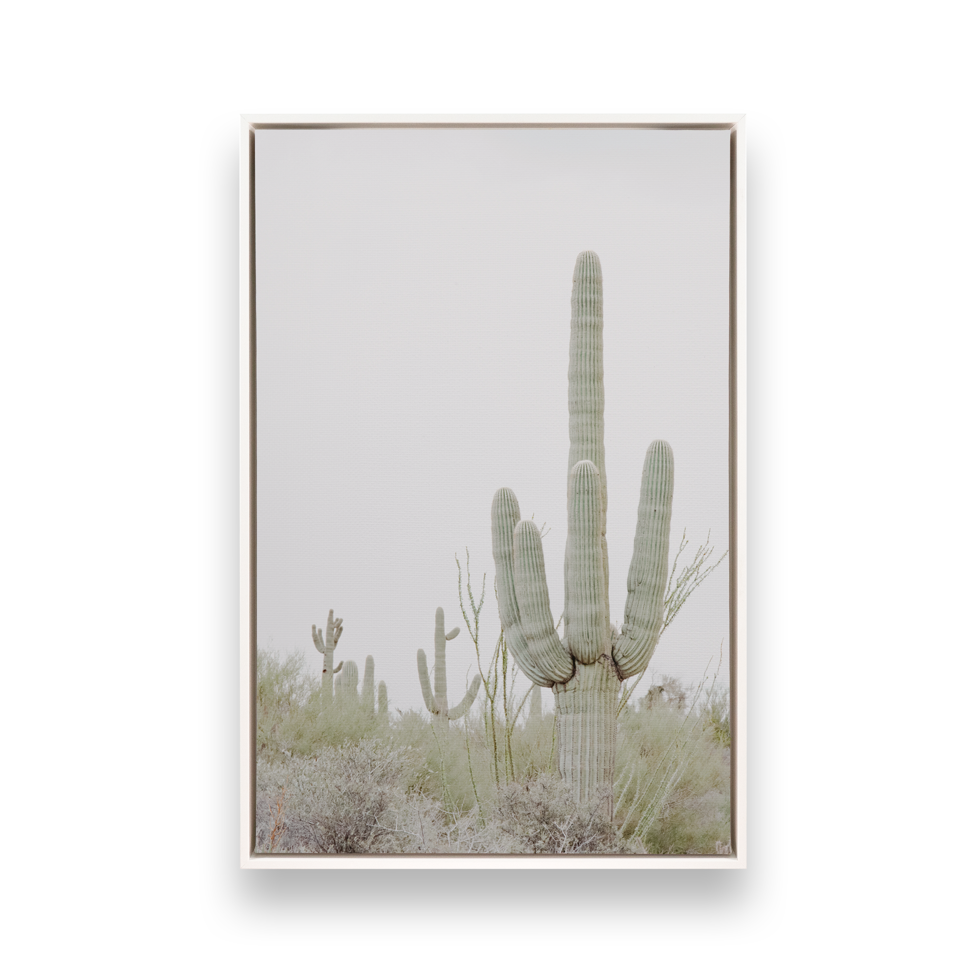 Opaque White
