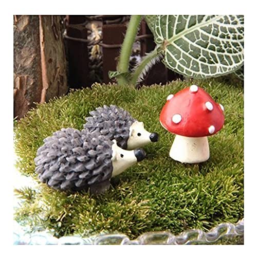 Hedgehogs