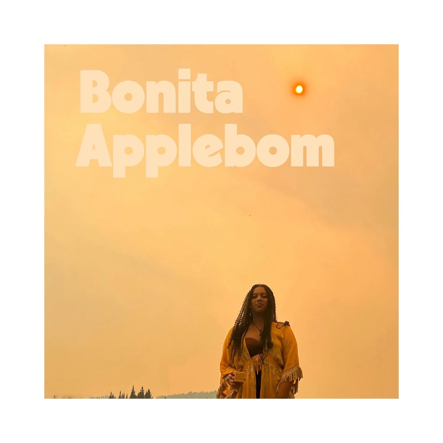 BONITA APPLEBOM Element Drops - Natural Essential Oil Blends for Aromatherapy, Relaxation & Stress Relief - Perfect for Diffusers, Massage & Home Spa