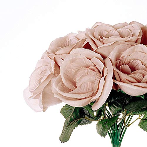 Dusty Rose