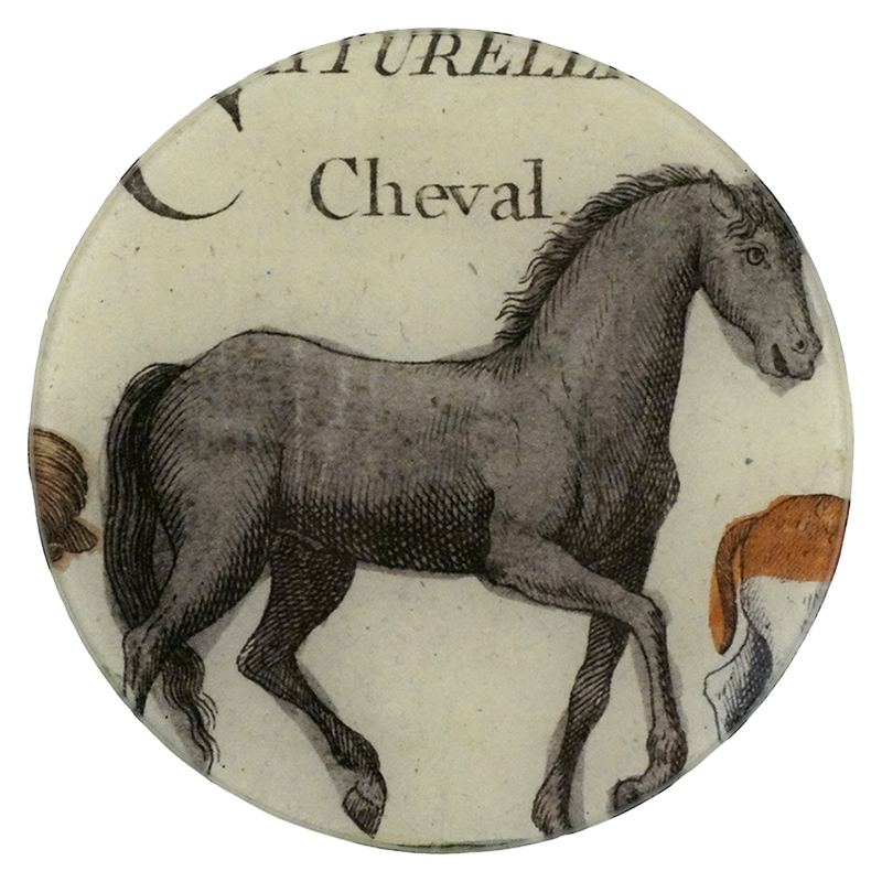 7R Cheval PNG - High-Quality Transparent Background Horse Images for Digital Art & Design Projects