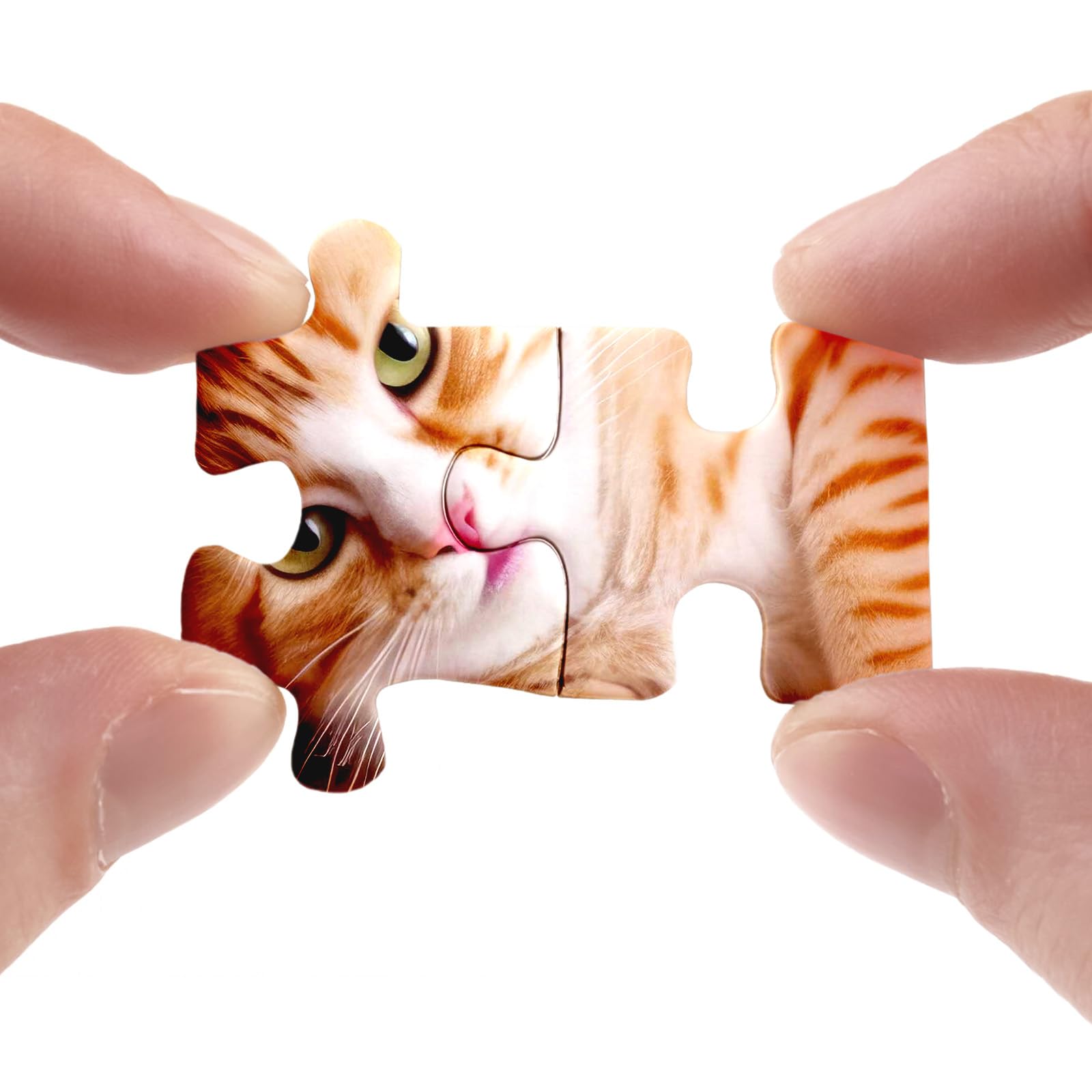 1000 Piece Cat Jigsaw Puzzle for Adults - Funny Kitten & Kitty Puzzle for Cat Lovers | Challenging Brain Teaser | Perfect for Family Game Night & Stress Relief Activities