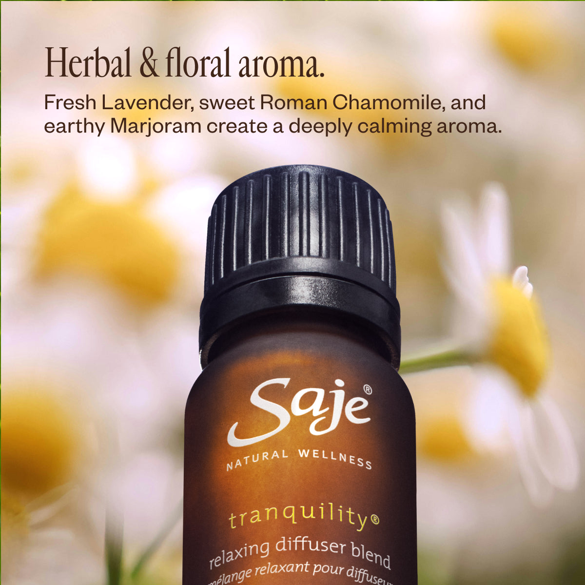Tranquility Relaxing Essential Oil Diffuser Blend - Calming Aromatherapy for Stress Relief & Better Sleep | Perfect for Home, Office & Spa