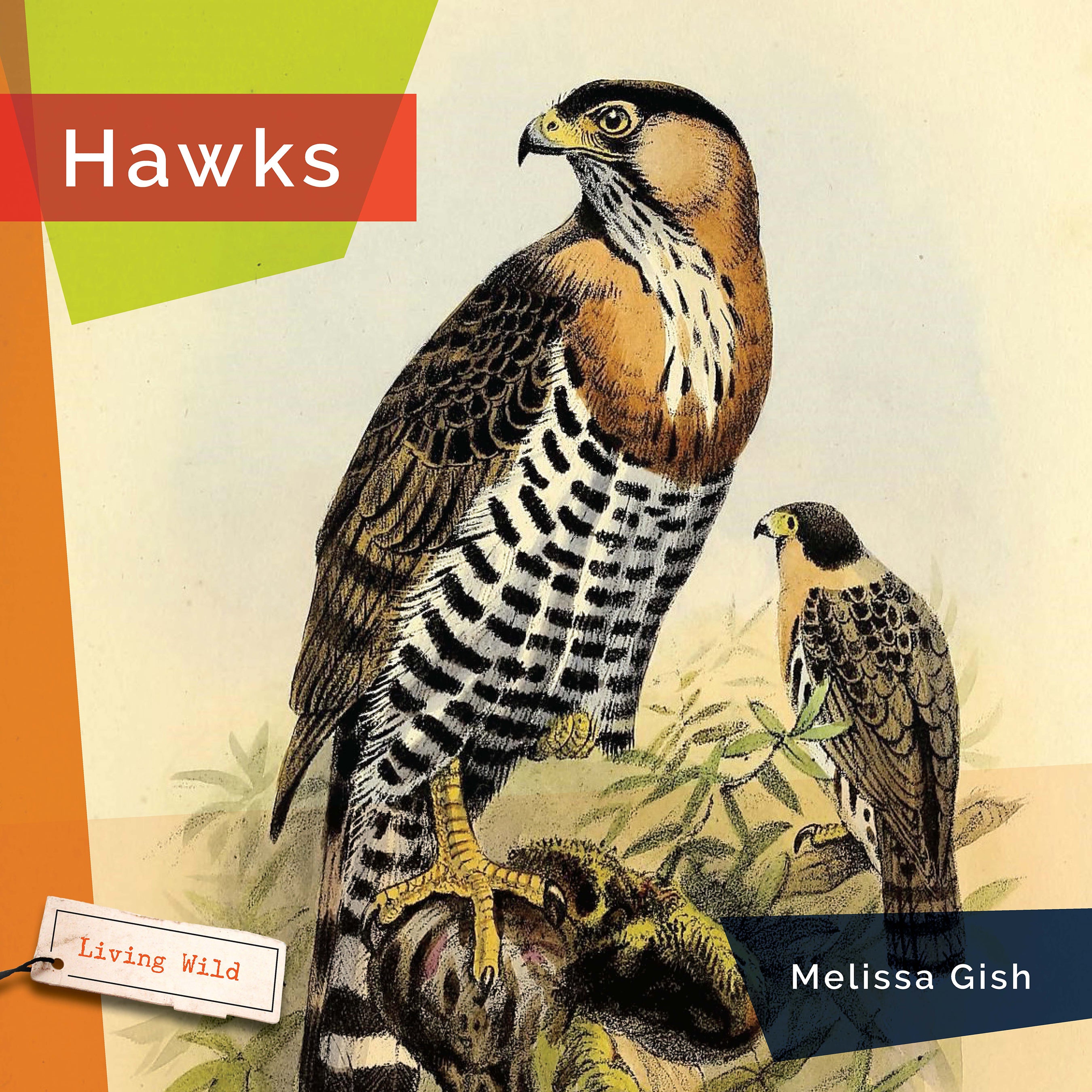 Hawks Book 9781640267855 - Wildlife Birds of Prey Guide for Bird Watching & Nature Enthusiasts | Perfect for Outdoor Adventures & Educational Gifts
