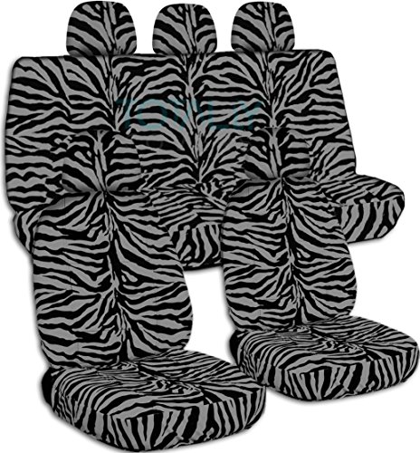 Silver Zebra