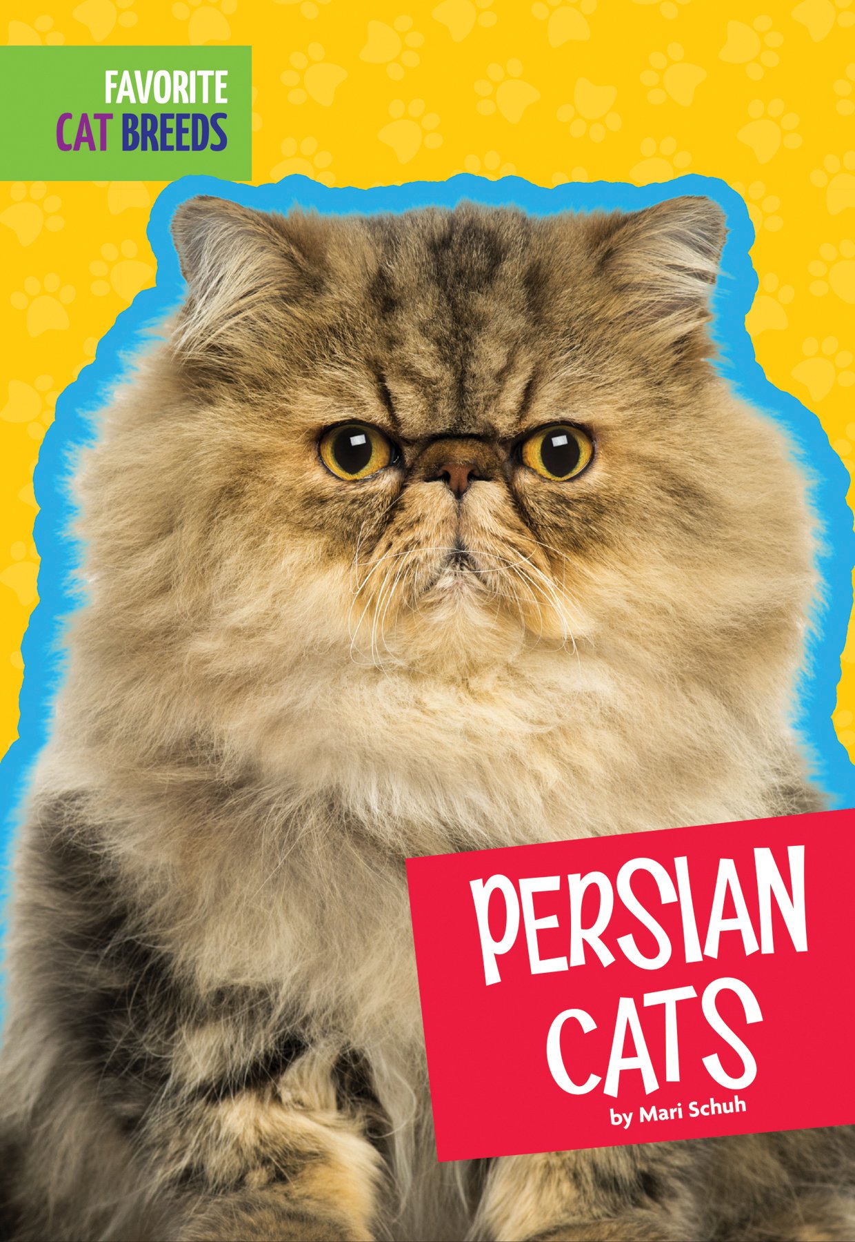 Persian Cats - Adorable Long-Haired Feline Pets for Home Companionship | Perfect for Cat Lovers & Family Pets
