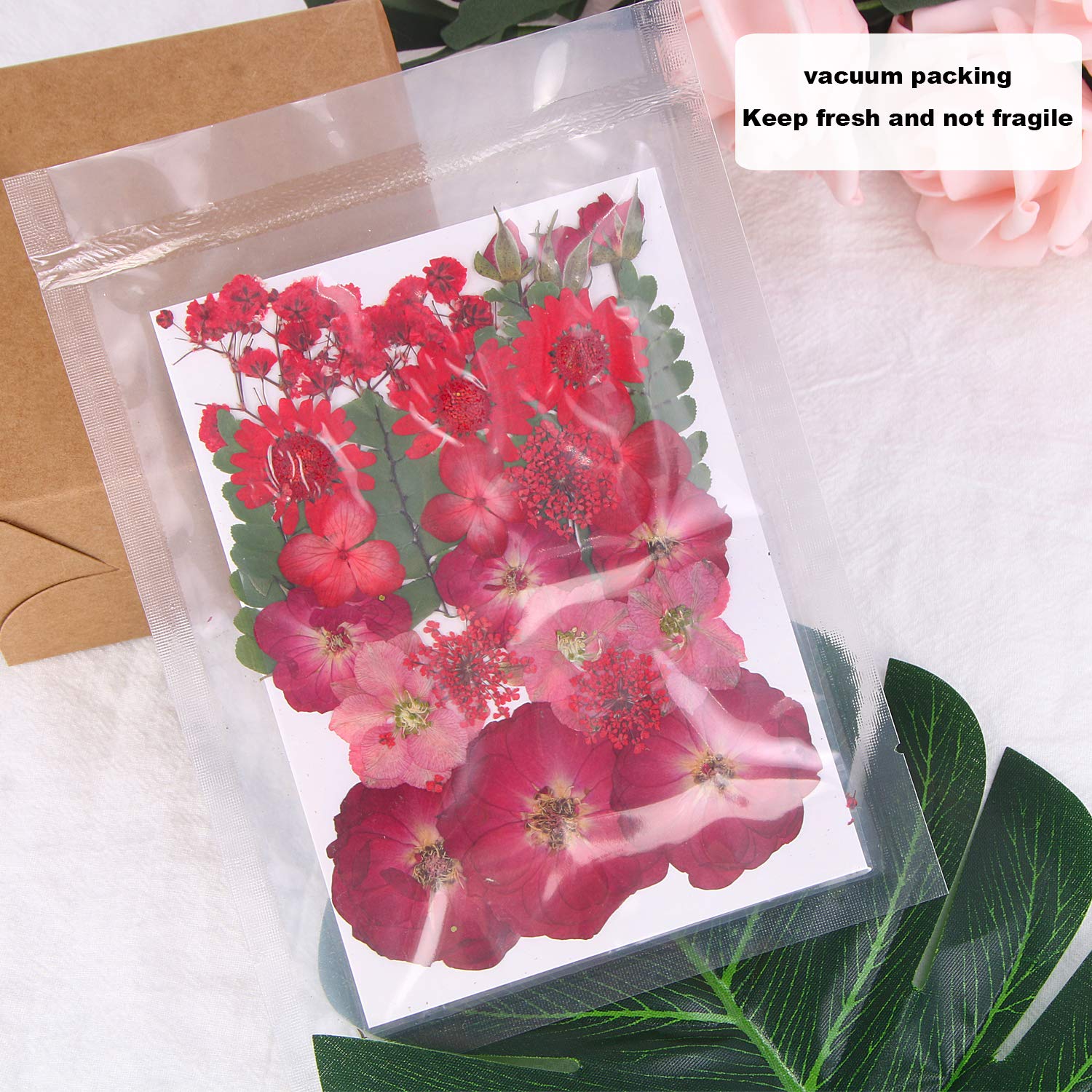Augshy Red Dried Pressed Flowers - Natural Pressed Rose Petals for Resin Jewelry, Nail Art & DIY Crafts | Perfect for Epoxy Molds, Scrapbooking & Home Decor