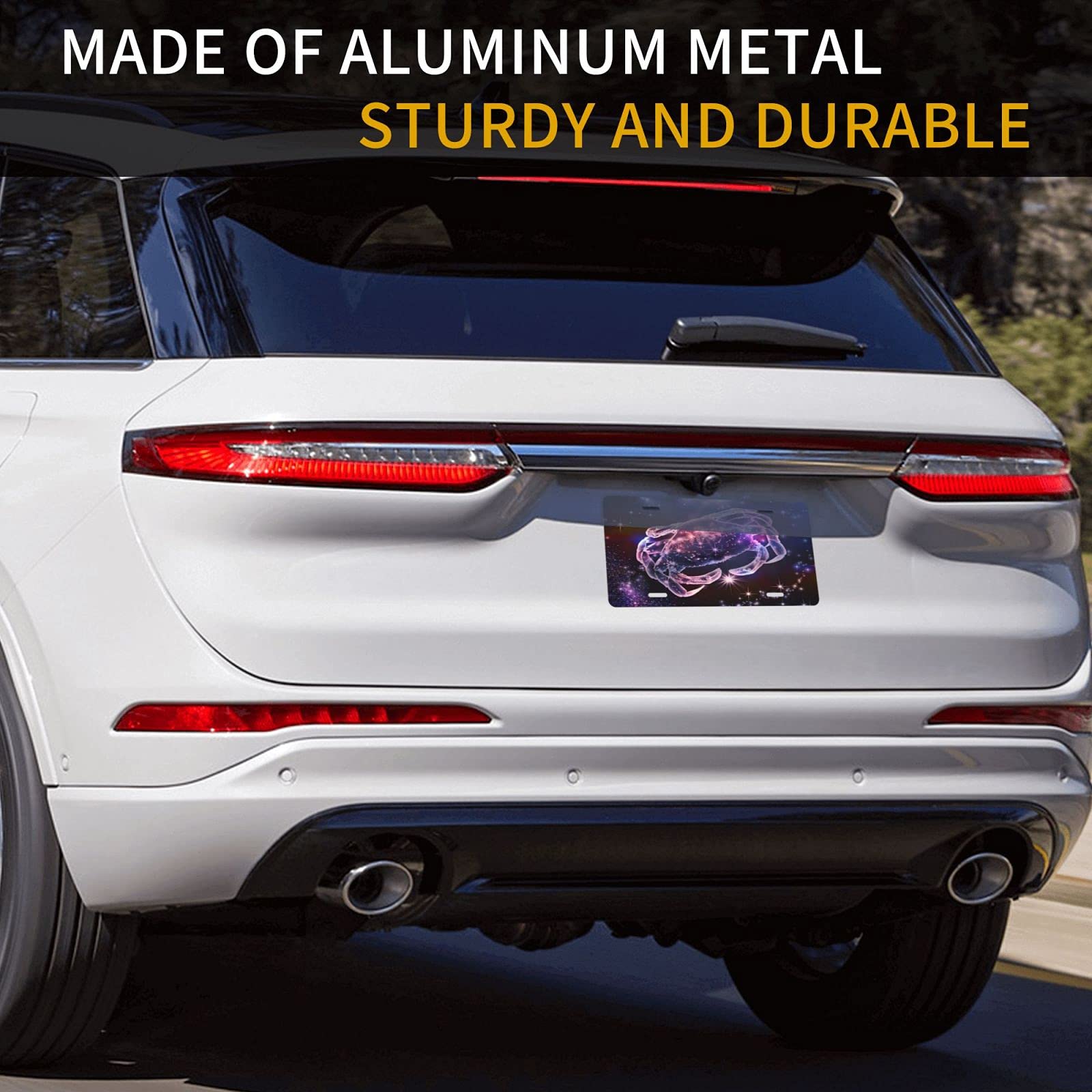Custom Delerain Aluminum Vanity License Plate - 6x12 Inch Cancer Awareness Car Front Plate for Men, Women, Boys & Girls | Perfect for Personalization, Car Decor, and Supporting Cancer Causes