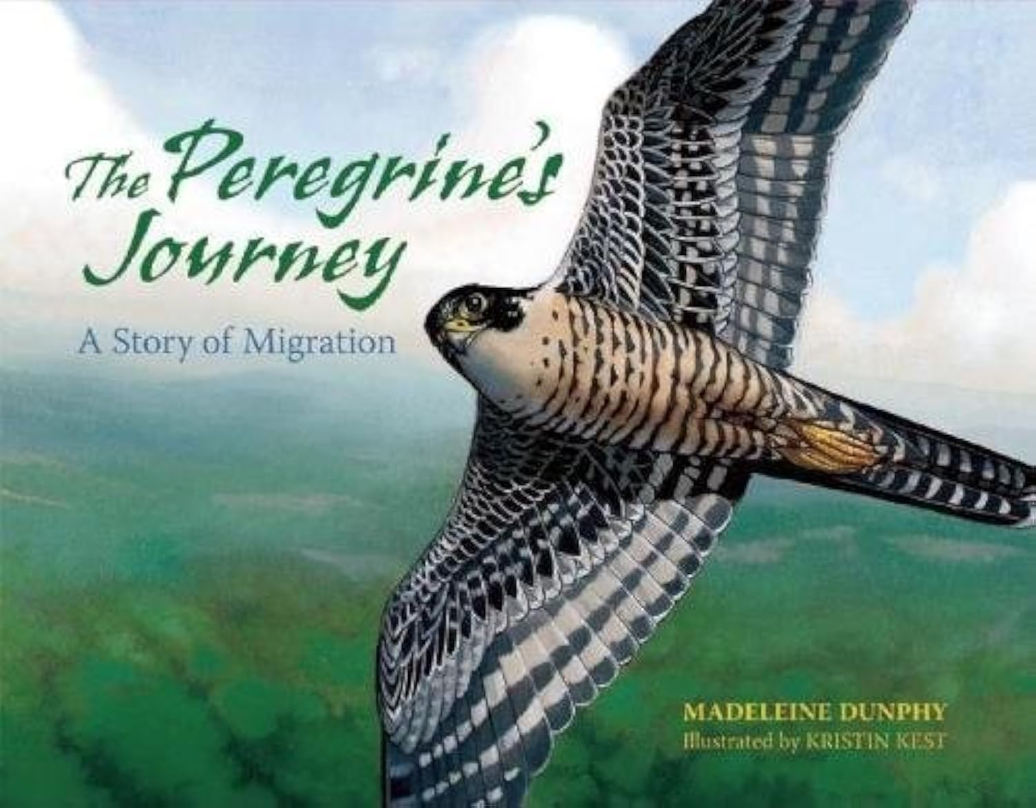 The Peregrine's Journey: A Story of Bird Migration - Perfect for Nature Lovers, Bird Watchers & Educational Reading