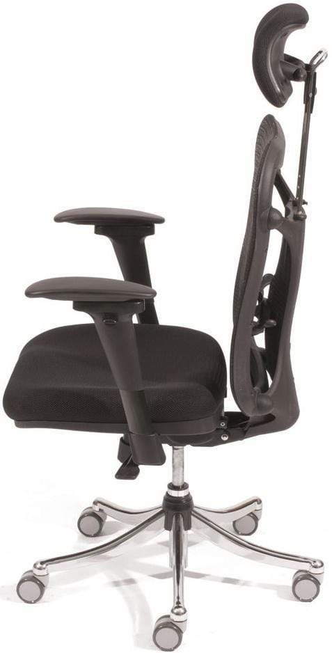 BALT High Back Ergonomic Mesh Office Chair with Lumbar Support - Adjustable Swivel Task Chair for Home & Office Workspace - Perfect for Long Hours of Sitting, Gaming, and Computer Work