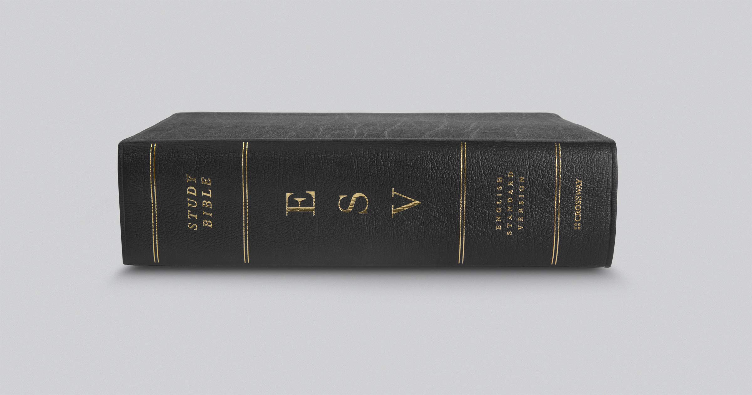 ESV Study Bible Large Print - Genuine Leather Black Cover - Premium Bible for Church, Bible Study & Personal Devotion - Ideal Gift for Christians & Pastors