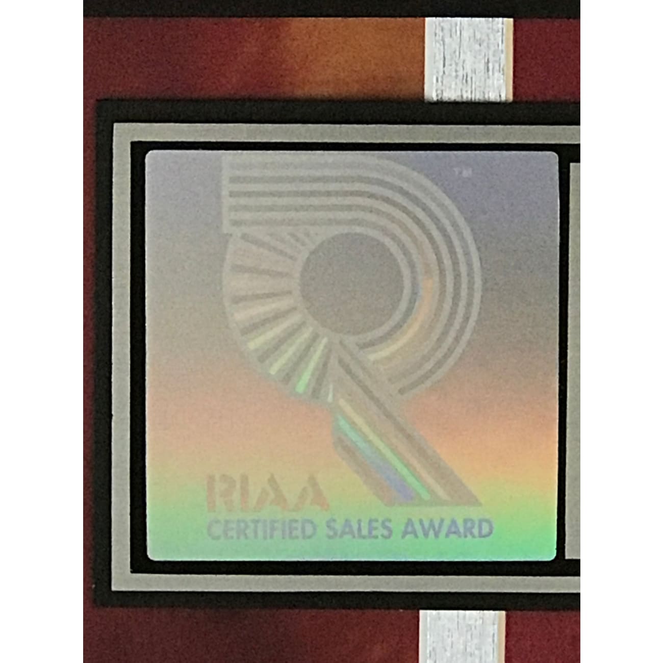 Annie Lennox Diva RIAA Platinum LP Award - Autographed Signed Vinyl Record Collector's Item - Perfect for Music Memorabilia Displays & Eurythmics Fan Collections