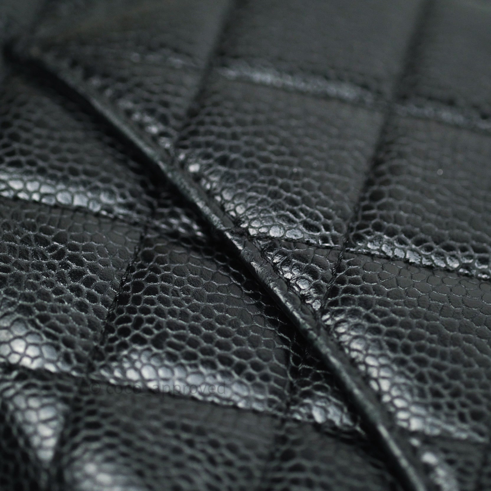Chanel Caviar Quilted Wallet on Chain WOC with Gold Hardware - Luxury Crossbody Bag for Women, Perfect for Parties, Date Nights & Everyday Use