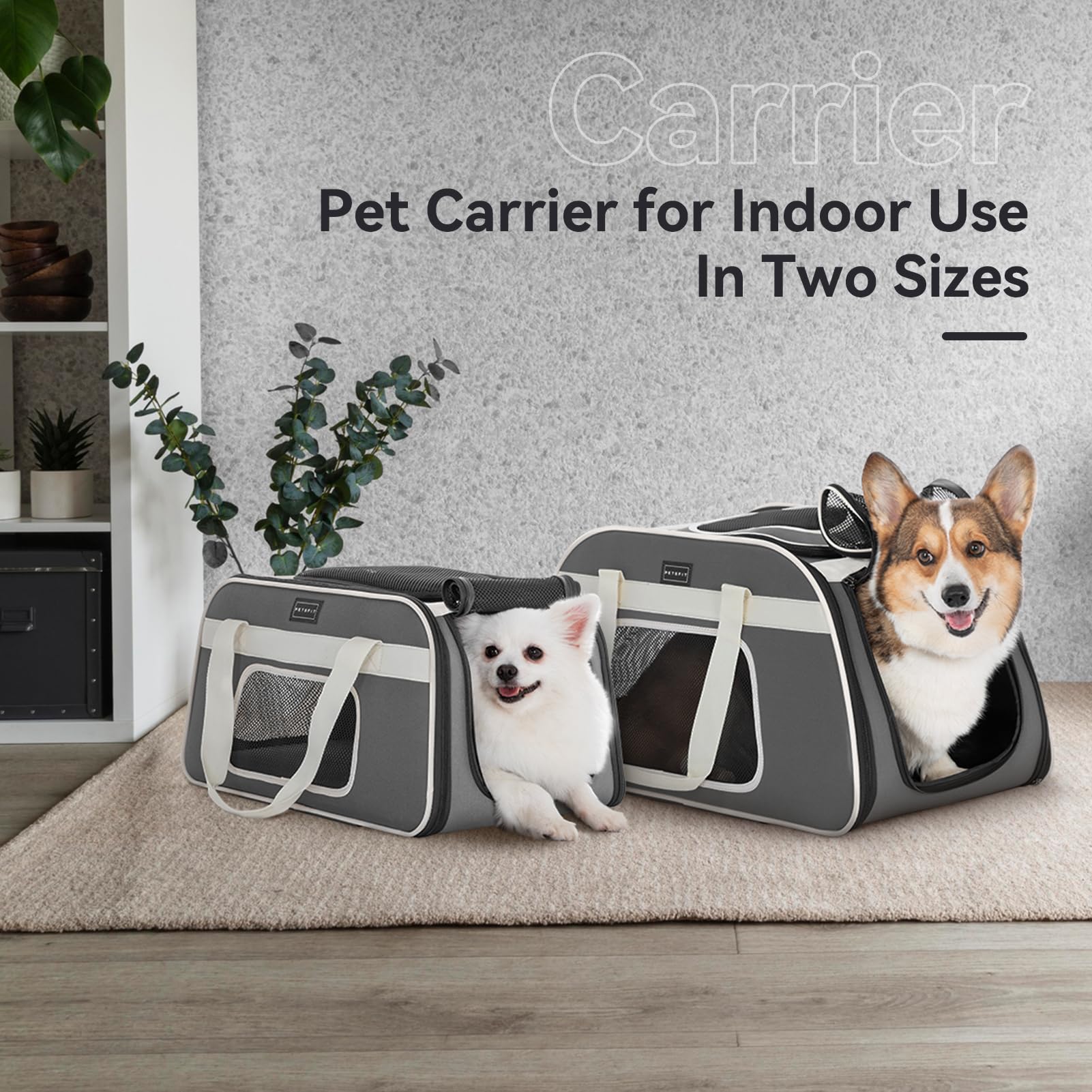 Petsfit Airline Approved Pet Carrier with Wheels - Lightweight Travel Carrier for Small Dogs & Cats, Adjustable Safety Strap & Removable Wheels - Perfect for Air Travel, Road Trips & Vet Visits