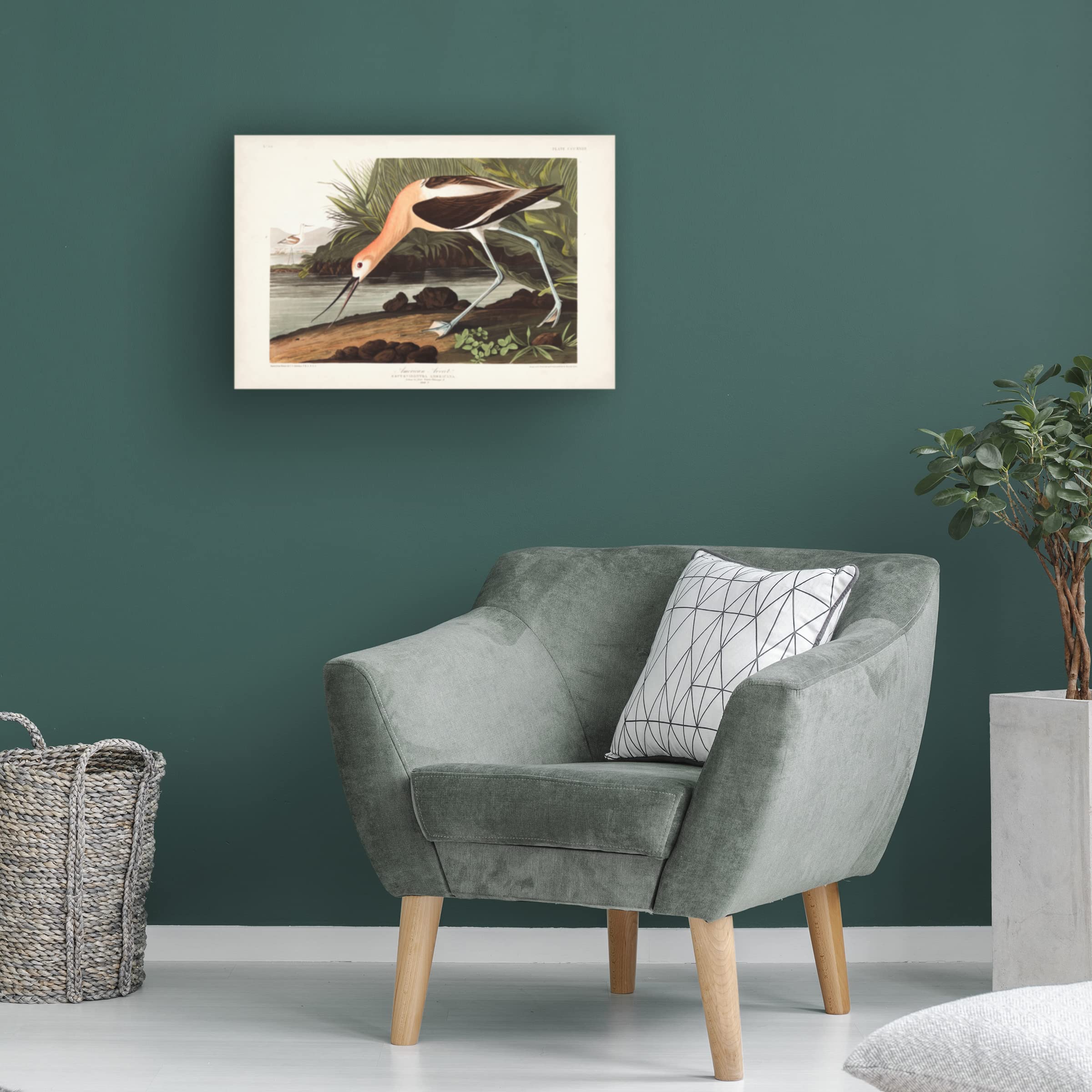 Trademark Fine Art 'American Avocet' Canvas Wall Art by John James Audubon - 30x47 Inches - Nature Wildlife Bird Painting for Living Room, Bedroom & Office Decor